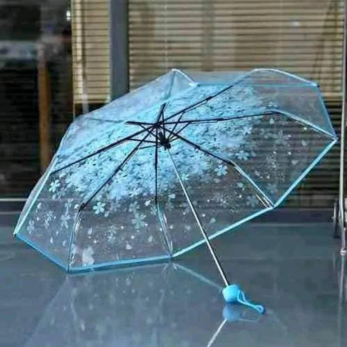 Transparent Umbrella - From China